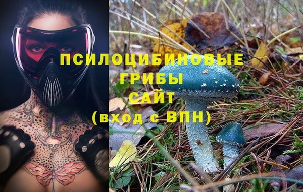 ПСИЛОЦИБИНОВЫЕ ГРИБЫ Арсеньев