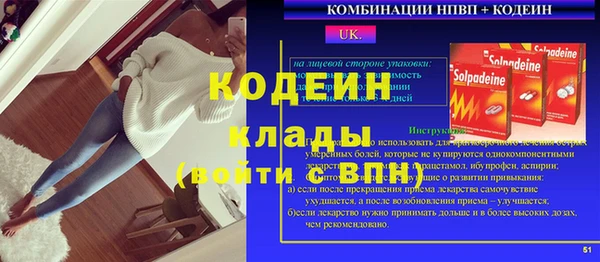 ПСИЛОЦИБИНОВЫЕ ГРИБЫ Арсеньев