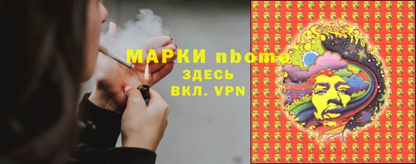 ПСИЛОЦИБИНОВЫЕ ГРИБЫ Арсеньев