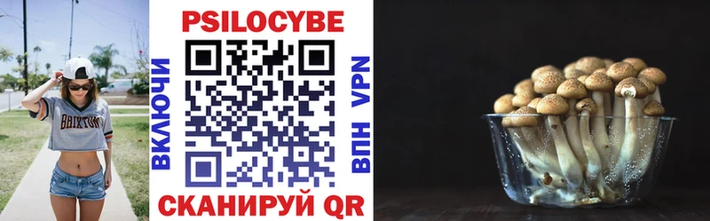 Псилоцибиновые грибы Psilocybine cubensis Тайшет